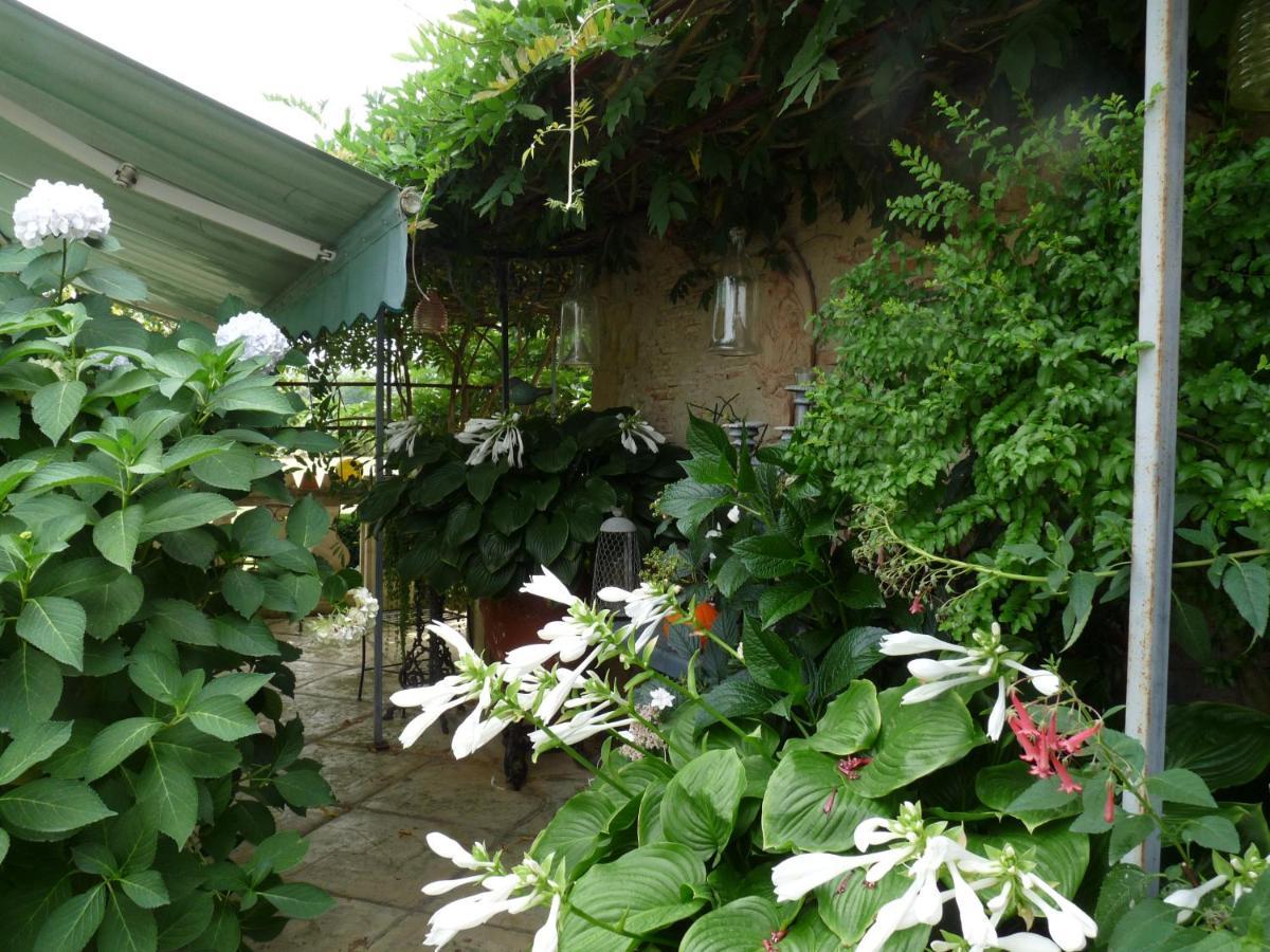 Le Pouy Bed and Breakfast Termes-d'Armagnac Zewnętrze zdjęcie