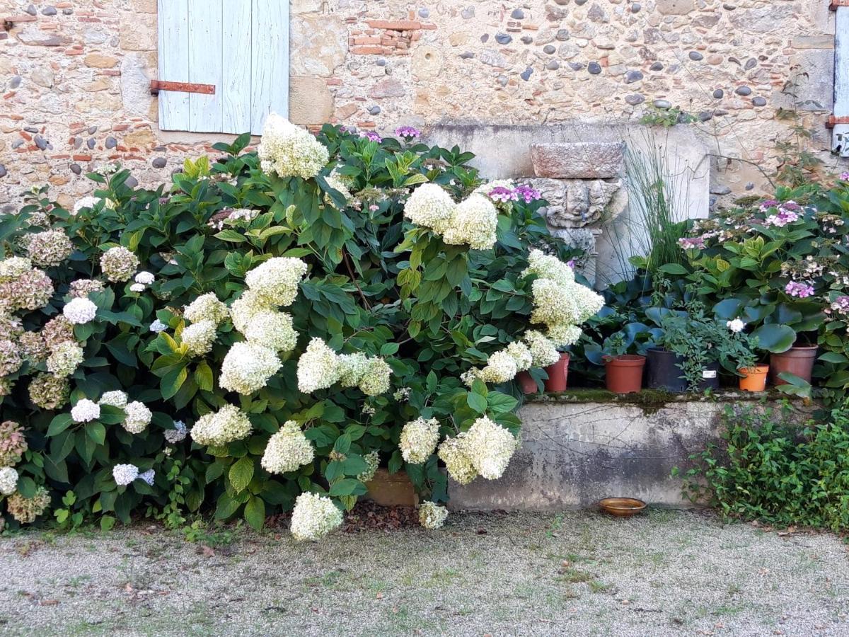 Le Pouy Bed and Breakfast Termes-d'Armagnac Zewnętrze zdjęcie